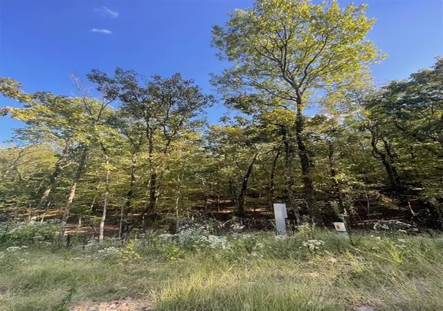 4th image of 767 Timber Creek Trails South Xl, Broken Bow, OK 74728 | MLS# 1097935