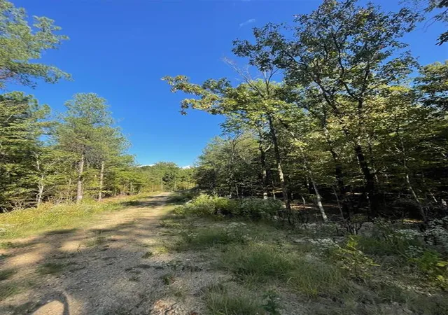 5th image of 767 Timber Creek Trails South Xl, Broken Bow, OK 74728 | MLS# 1097935