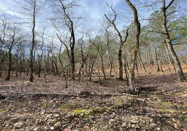 1st image of 768 Timber Creek Trails South Xl, Broken Bow, OK 74728 | MLS# 1097937
