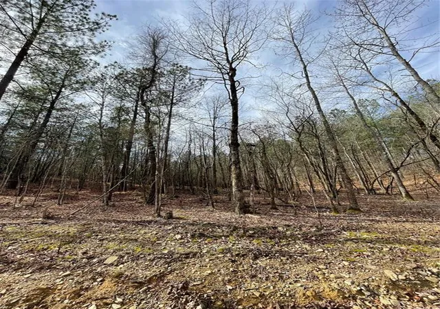 2nd image of 768 Timber Creek Trails South Xl, Broken Bow, OK 74728 | MLS# 1097937