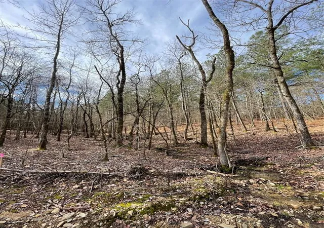 4th image of 768 Timber Creek Trails South Xl, Broken Bow, OK 74728 | MLS# 1097937