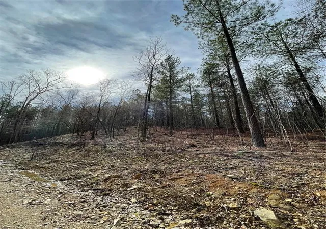 5th image of 768 Timber Creek Trails South Xl, Broken Bow, OK 74728 | MLS# 1097937