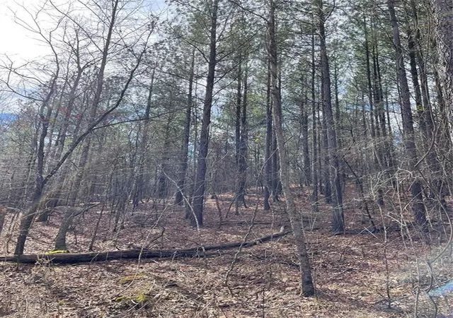 1st image of 769 Timber Creek Trails South Xl, Broken Bow, OK 74728 | MLS# 1097941