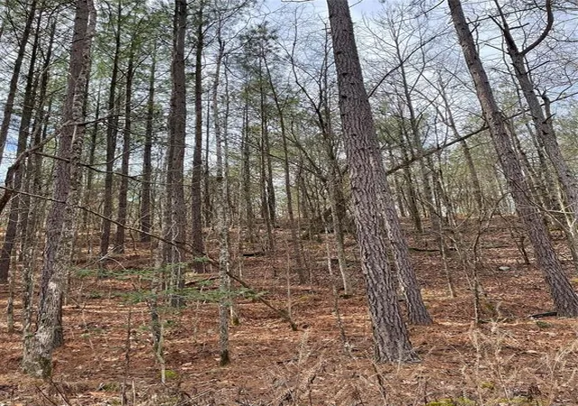 2nd image of 769 Timber Creek Trails South Xl, Broken Bow, OK 74728 | MLS# 1097941