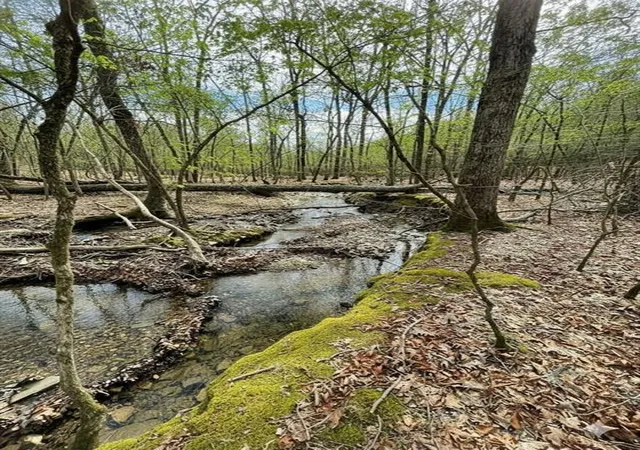 2nd image of 770 Timber Creek Trails South Xl, Broken Bow, OK 74728 | MLS# 1097944