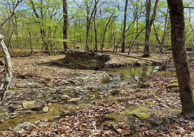 3rd image of 770 Timber Creek Trails South Xl, Broken Bow, OK 74728 | MLS# 1097944