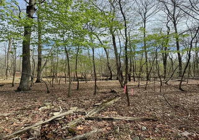 4th image of 770 Timber Creek Trails South Xl, Broken Bow, OK 74728 | MLS# 1097944