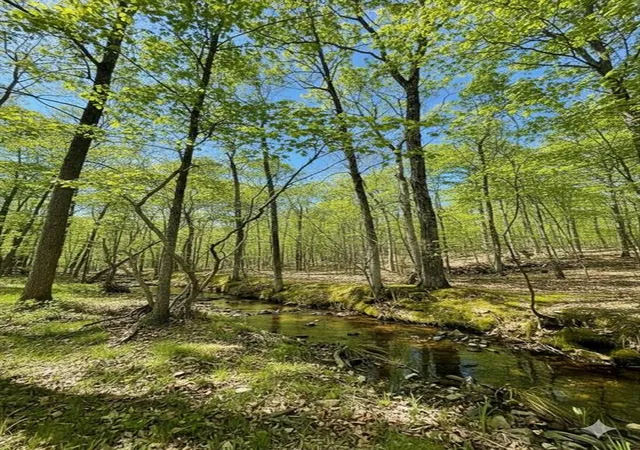 3rd image of 771 Timber Creek Trails South Xl, Broken Bow, OK 74728 | MLS# 1097945