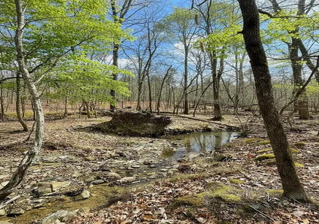 4th image of 771 Timber Creek Trails South Xl, Broken Bow, OK 74728 | MLS# 1097945
