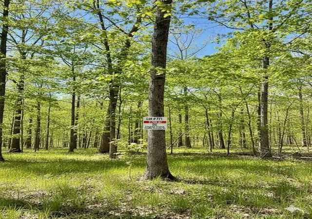 5th image of 771 Timber Creek Trails South Xl, Broken Bow, OK 74728 | MLS# 1097945