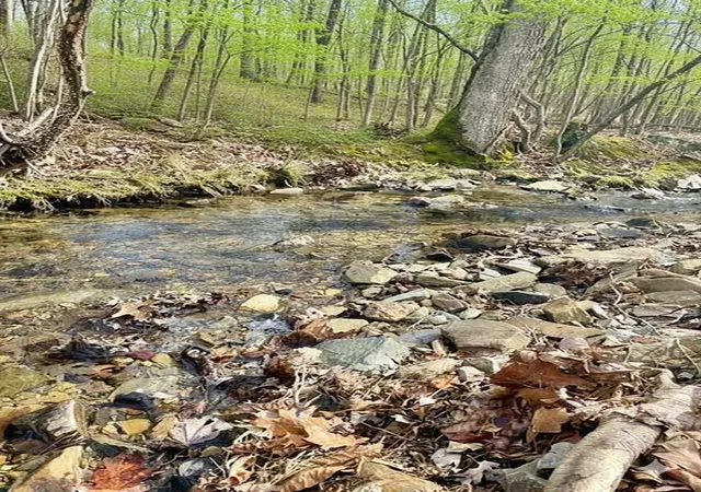 2nd image of 772 Timber Creek Trails South Xl, Broken Bow, OK 74728 | MLS# 1097947