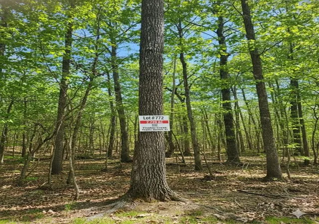 3rd image of 772 Timber Creek Trails South Xl, Broken Bow, OK 74728 | MLS# 1097947