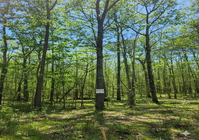 4th image of 772 Timber Creek Trails South Xl, Broken Bow, OK 74728 | MLS# 1097947
