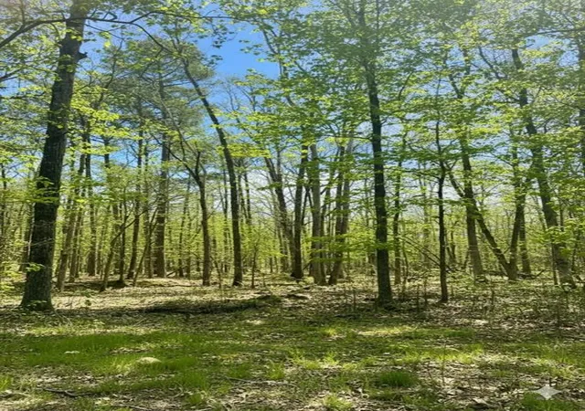 5th image of 772 Timber Creek Trails South Xl, Broken Bow, OK 74728 | MLS# 1097947