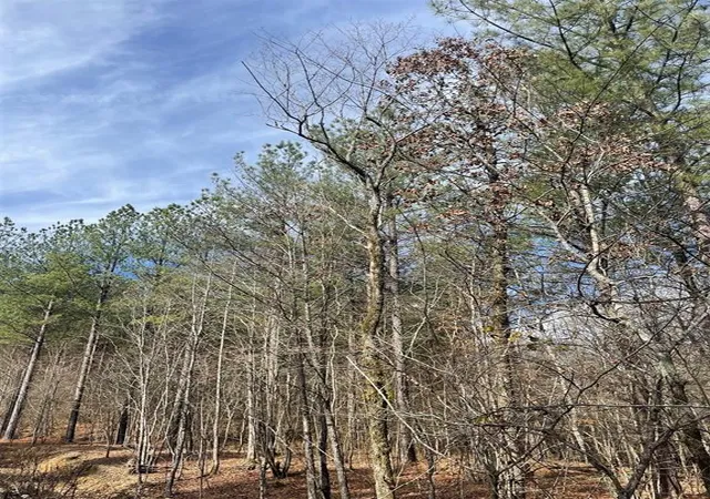 1st image of 773 Timber Creek Trails South Xl, Broken Bow, OK 74728 | MLS# 1097949
