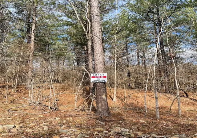 2nd image of 773 Timber Creek Trails South Xl, Broken Bow, OK 74728 | MLS# 1097949