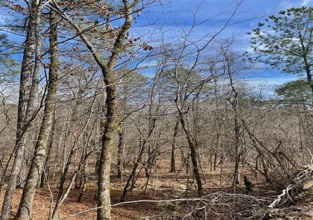3rd image of 773 Timber Creek Trails South Xl, Broken Bow, OK 74728 | MLS# 1097949