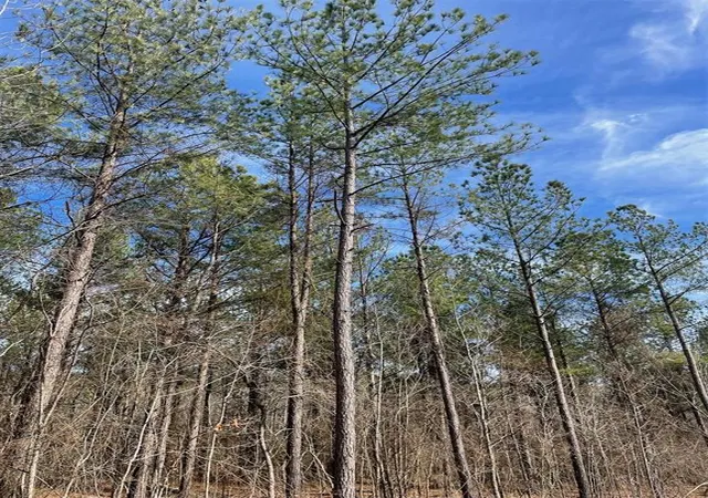 Homes for sale in Broken Bow, OK | 774 Timber Creek Trails South Xl, Broken Bow, OK 74728 | MLS# 1097951