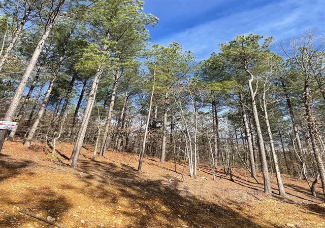 Homes for sale in Broken Bow, OK | 775 Timber Creek Trails South Xl, Broken Bow, OK 74728 | MLS# 1097954