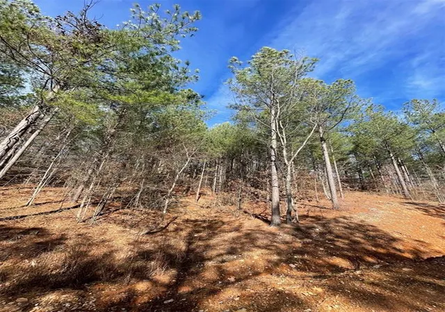 Homes for sale in Broken Bow, OK | 776 Timber Creek Trails South Xl, Broken Bow, OK 74728 | MLS# 1097956