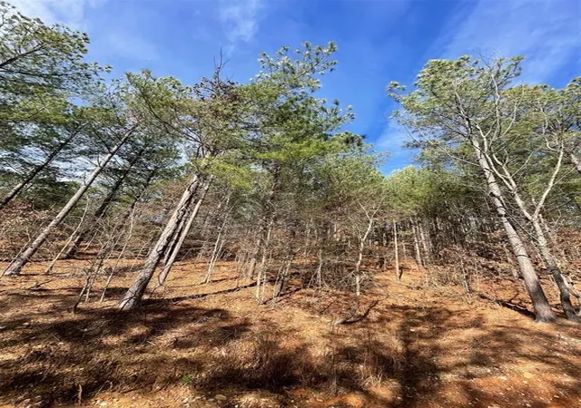 Homes for sale in Broken Bow, OK | 776 Timber Creek Trails South Xl, Broken Bow, OK 74728 | MLS# 1097956