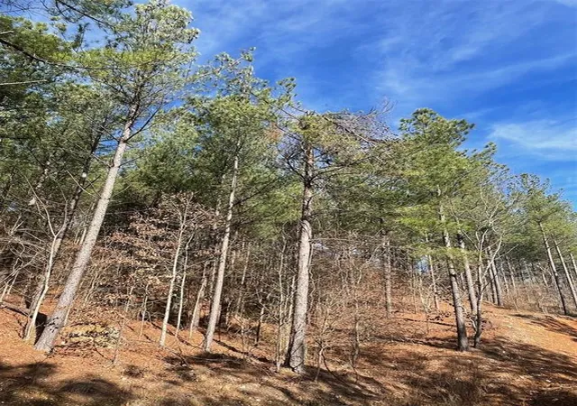 Homes for sale in Broken Bow, OK | 776 Timber Creek Trails South Xl, Broken Bow, OK 74728 | MLS# 1097956