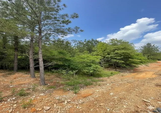 Homes for sale in Broken Bow, OK | 668 Timber Creek Trails South Xl, Broken Bow, OK 74728 | MLS# 1098676