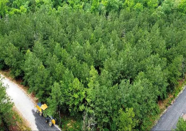 Photo 2 of Land for sale at 25 Mission Fig Trl, Broken Bow, OK 74728 | MLS# 1119140 | Listing updated on 2026-07-28