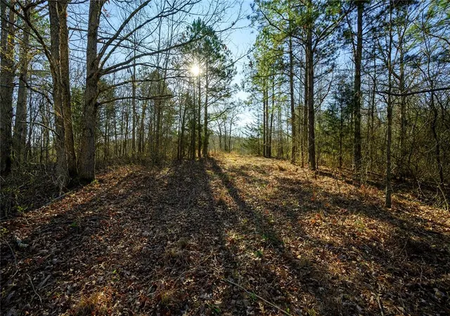 Photo 1 of Land for sale at Hwy 4 Hwy #12, Watson, OK 74963 | MLS# 1129161 | Listing updated on 2026-02-19