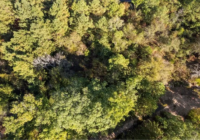 Photo 3 of Land for sale at 134 Creekside Trl, Broken Bow, OK 74728 | MLS# 1135527 | Listing updated on 2026-08-11