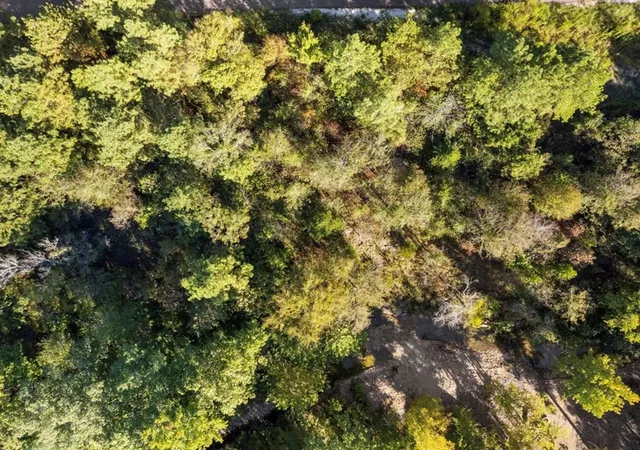 Photo 4 of Land for sale at 134 Creekside Trl, Broken Bow, OK 74728 | MLS# 1135527 | Listing updated on 2026-08-11