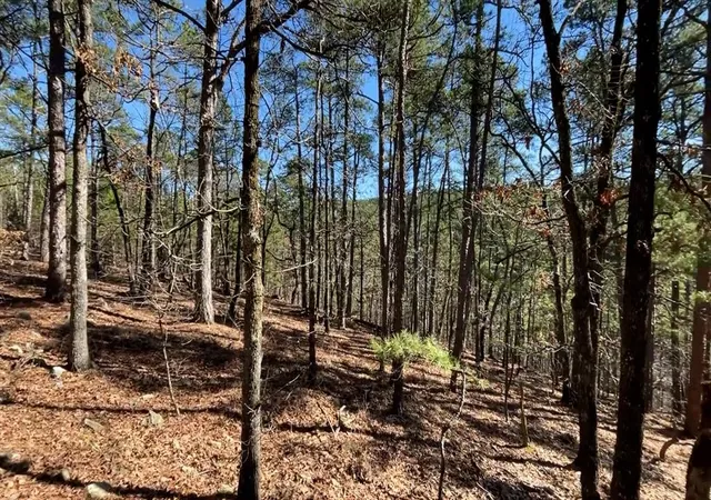 Photo 3 of Land for sale at 964 Timberline Trl, Broken Bow, OK 74728 | MLS# 1139321 | Listing updated on 2024-10-29