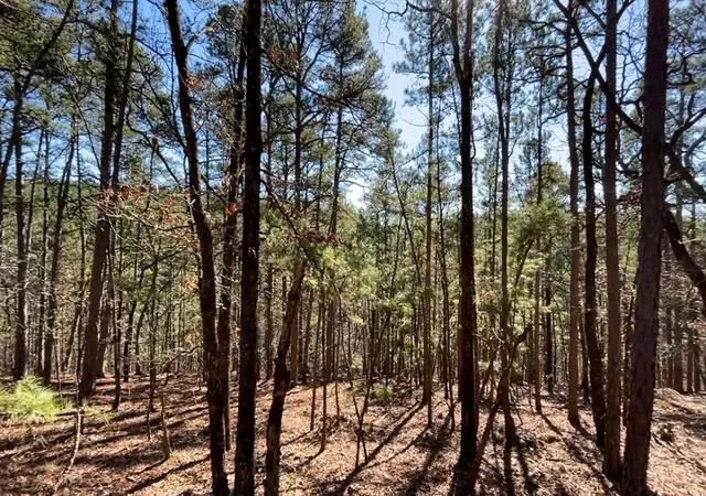 Photo 3 of Land for sale at 964 Timberline Trl, Broken Bow, OK 74728 | MLS# 1139321 | Listing updated on 2024-10-29