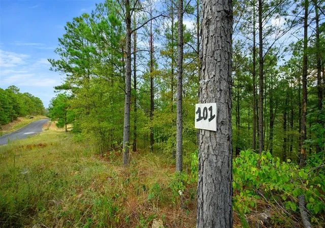 Photo 12 of Land for sale at 101 Sierra Vista Trl, Broken Bow, OK 74728 | MLS# 1139601 | Listing updated on 2025-07-02