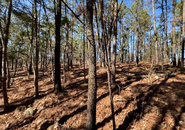2nd image of 986 Timberline Trl, Broken Bow, OK 74728 | MLS# 1140030