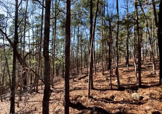 Photo 3 of Land for sale at 986 Timberline Trl, Broken Bow, OK 74728 | MLS# 1140030 | Listing updated on 2024-11-19