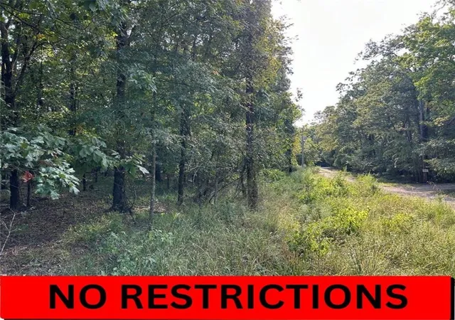 Photo 3 of Land for sale at Alexis Ln, Broken Bow, OK 74728 | MLS# 1140379 | Listing updated on 2026-01-12
