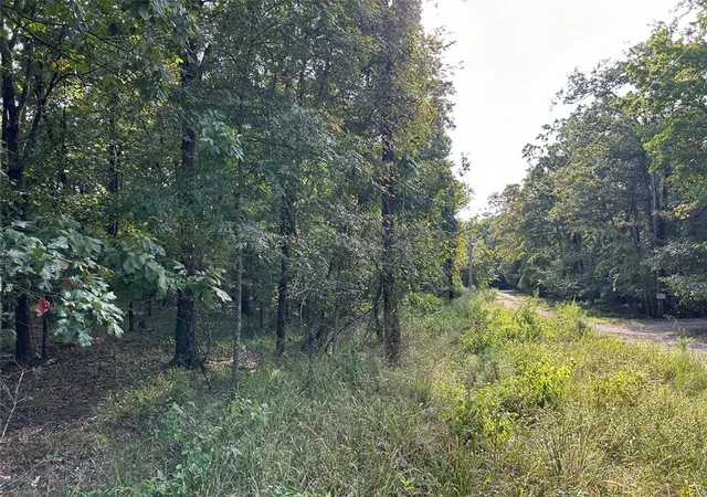 Photo 3 of Land for sale at Alexis Ln, Broken Bow, OK 74728 | MLS# 1140379 | Listing updated on 2026-01-12
