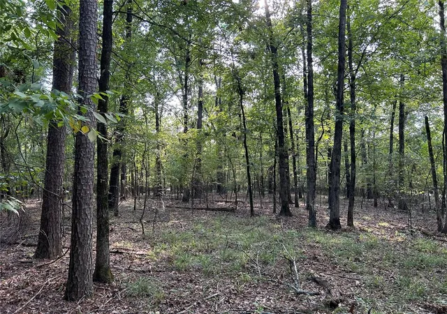 Photo 4 of Land for sale at Alexis Ln, Broken Bow, OK 74728 | MLS# 1140379 | Listing updated on 2026-01-12