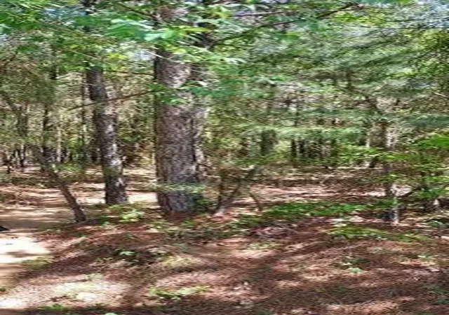 Photo 4 of Land for sale at 154 Lost Crk N, Broken Bow, OK 74728 | MLS# 1143413 | Listing updated on 2024-11-12