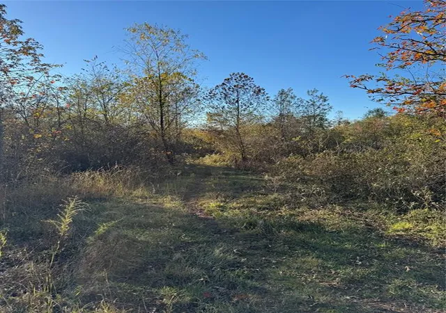 Homes for sale in Haworth, OK | 3647 Goodwater Rd, Haworth, OK 74740 | MLS# 1145078