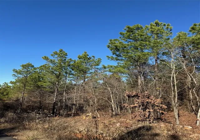 Photo 2 of Land for sale at 63 Acorn Ct, Broken Bow, OK 74728 | MLS# 1147621 | Listing updated on 2026-06-23