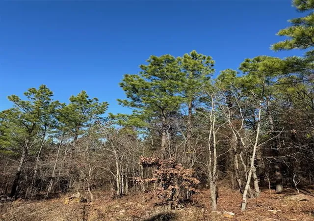 Photo 3 of Land for sale at 63 Acorn Ct, Broken Bow, OK 74728 | MLS# 1147621 | Listing updated on 2026-06-23