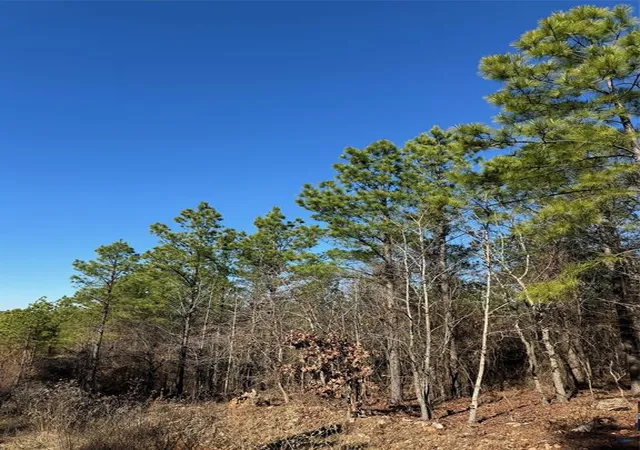 Photo 4 of Land for sale at 63 Acorn Ct, Broken Bow, OK 74728 | MLS# 1147621 | Listing updated on 2026-06-23
