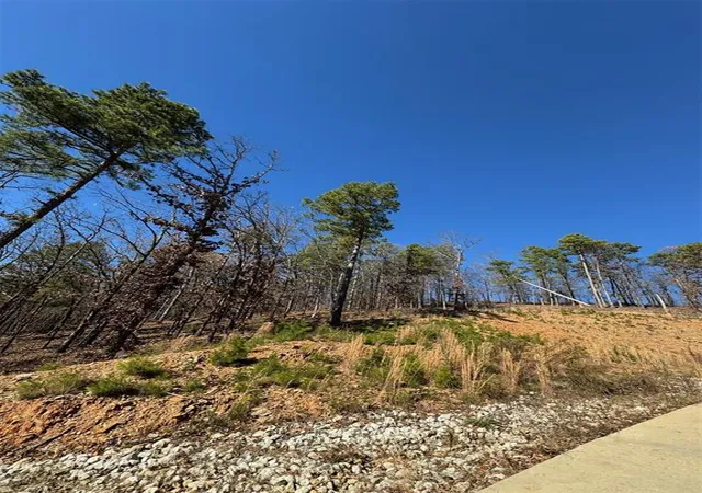 Photo 3 of Land for sale at 253 Western Pine Trl, Broken Bow, OK 74728 | MLS# 1148088 | Listing updated on 2026-07-22