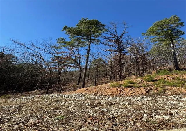 Photo 3 of Land for sale at 253 Western Pine Trl, Broken Bow, OK 74728 | MLS# 1148088 | Listing updated on 2026-07-22