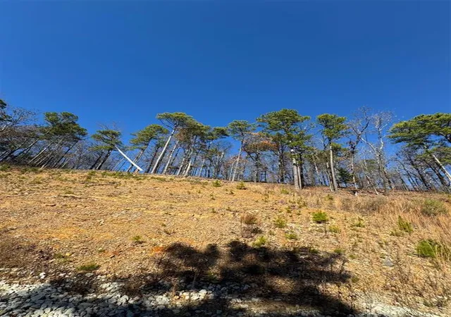 Photo 4 of Land for sale at 253 Western Pine Trl, Broken Bow, OK 74728 | MLS# 1148088 | Listing updated on 2026-07-22