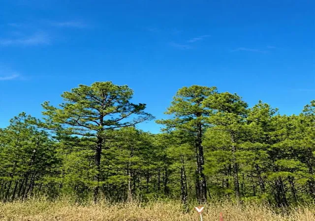 Land for sale at 43 Western Maple Ct, Broken Bow, OK 74728 | MLS# 1148111