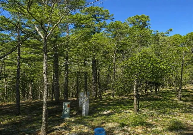 Photo 2 of Land for sale at 43 Western Maple Ct, Broken Bow, OK 74728 | MLS# 1148111 | Listing updated on 2026-10-15