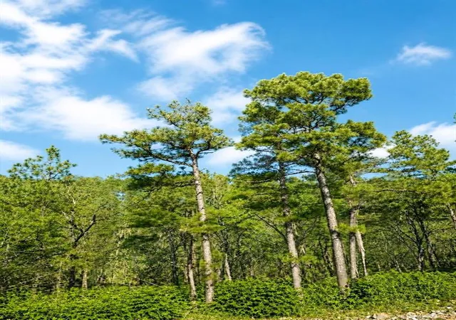 Photo 3 of Land for sale at 43 Western Maple Ct, Broken Bow, OK 74728 | MLS# 1148111 | Listing updated on 2026-10-15